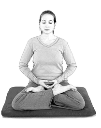 Question 50: WHAT ARE THE BASIC PRINCIPLES OF A STANDARD MEDITATION METHOD FOR&nbsp;EVERYONE?